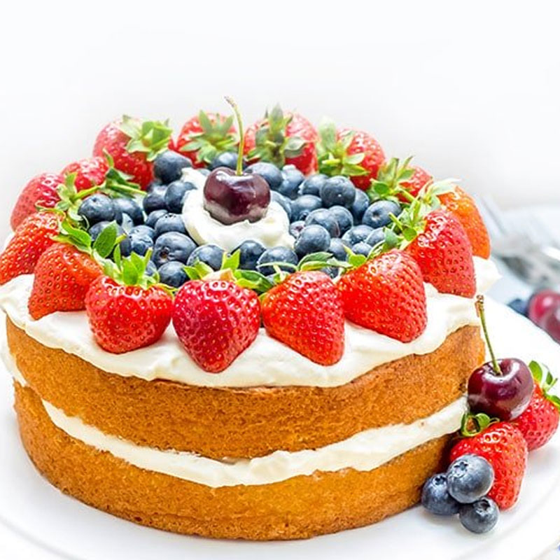 Cake Sponge